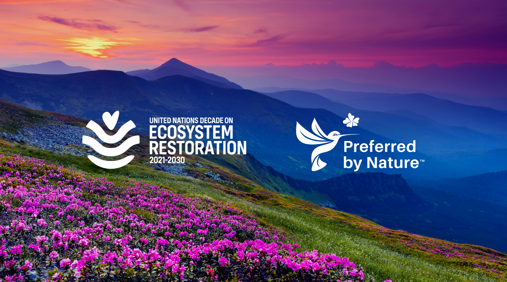 Preferred by Nature is now an Actor for the UN Decade on Ecosystem Restoration 2021-2030