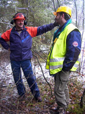 Forest-worker-interview.jpg