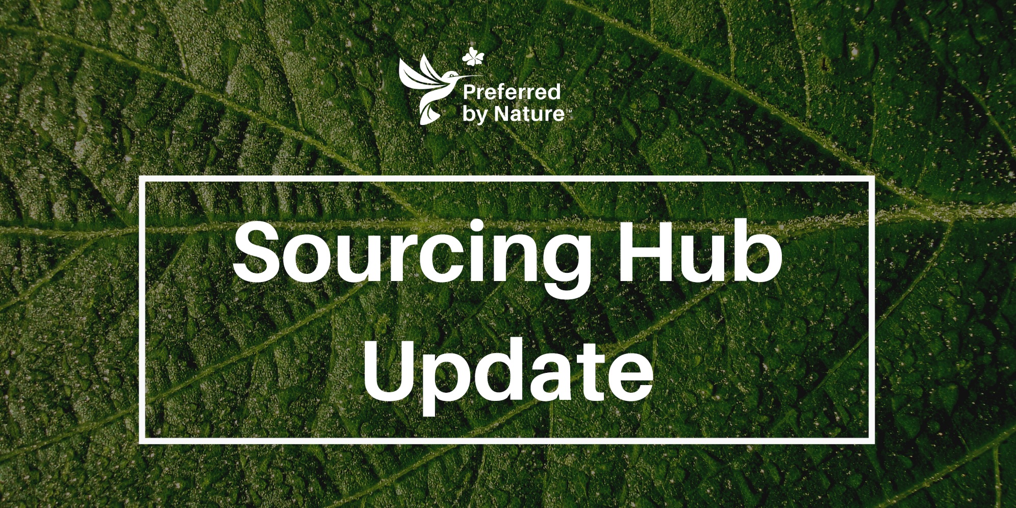 Sourcing Hub Update