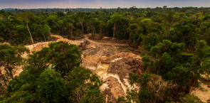 European Parliament approves landmark law to combat the trade of products causing deforestation and forest degradation