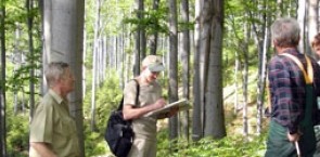 Group Certification of Forest Owners in Estonia, Latvia and Lithuania