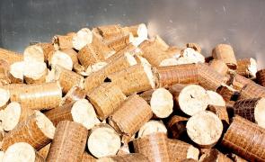 Biomass boost: Implications for FSC and PEFC